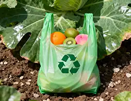 Biodegradable Bags